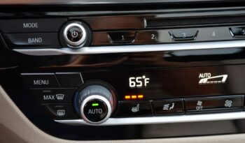 2019 BMW X3 SDRIVE30I PREMIUM PACKAGE ACC full