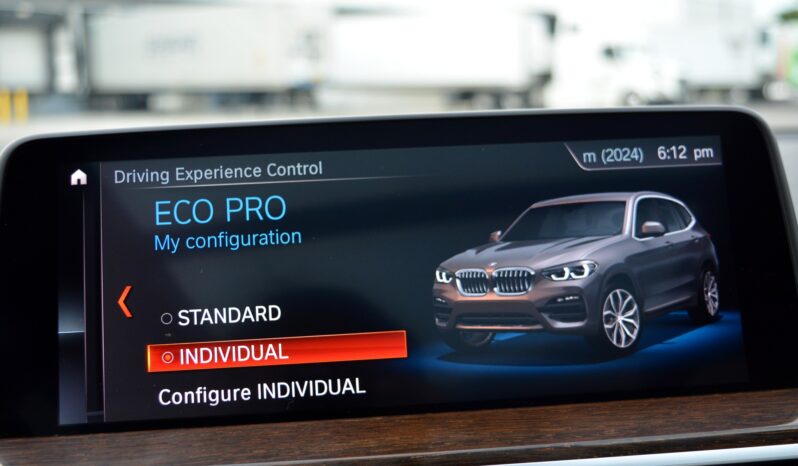 2019 BMW X3 SDRIVE30I PREMIUM PACKAGE ACC full